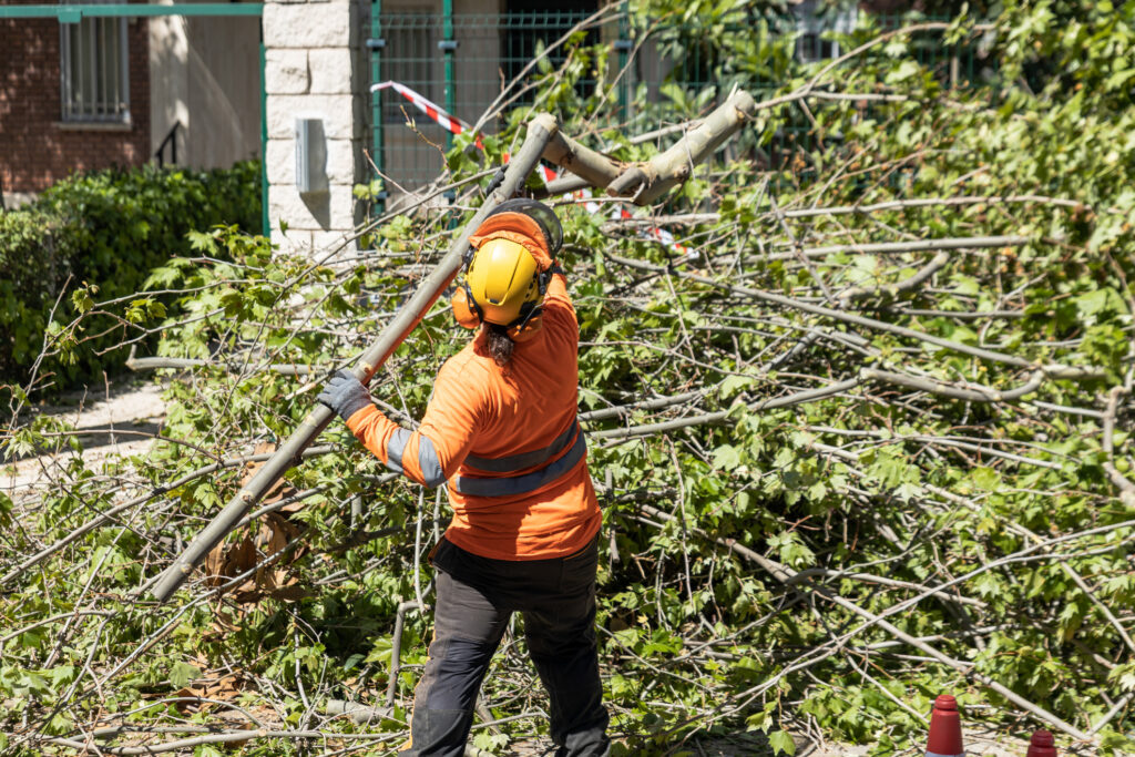 The-Root-of-Success-Why-You-Need-Tree-Service-Reputation-Management.