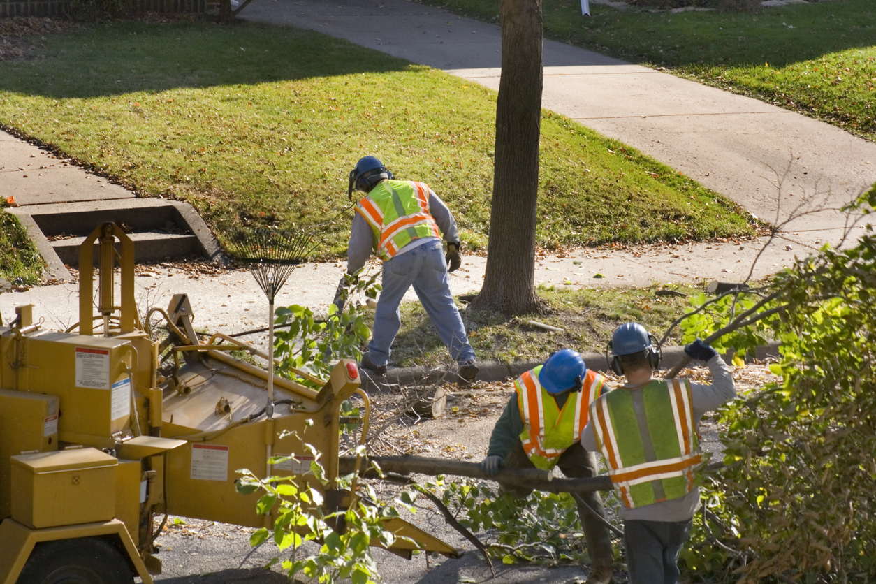 Effective-Brand-Monitoring-Strategies-for-Tree-Service-Contractors